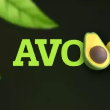 Avocasino Company profile photo